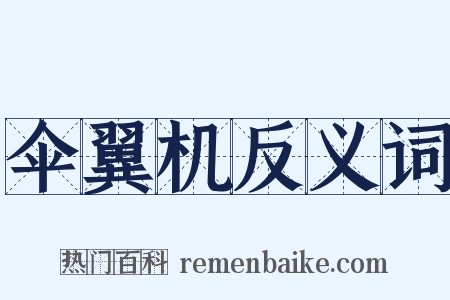 伞翼机反义词是什么意思的图片